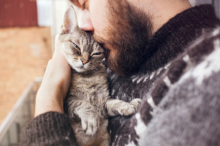 Difference Between Service, Emotional Support Animals and Pets